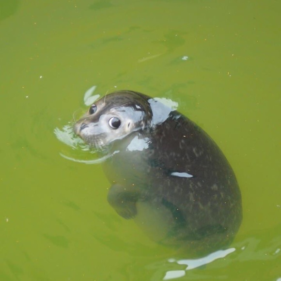 Hi, I’m Michelle❣️ - Picture 7 of 13